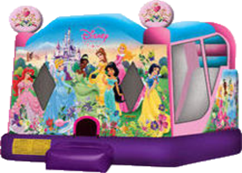 48-Disney-Princess-4in1-Slide-inside