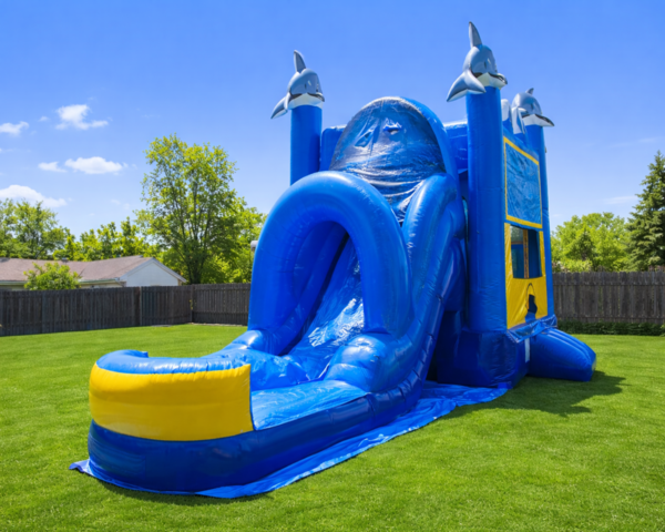 502-Dolphin-Wet-Dry-Bounce-Slide