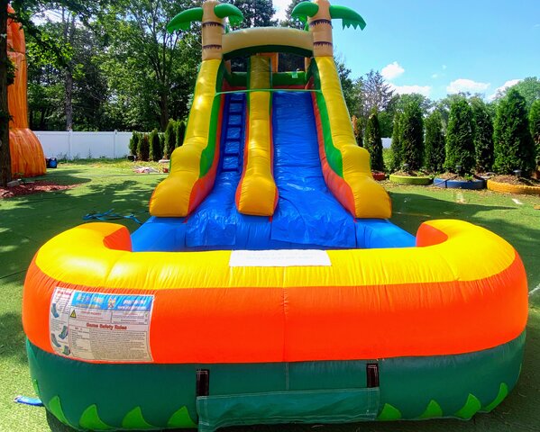 86-Junior-palm-tree-slide