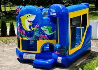 #39 Backyard Tiny Shark bounce house 3-in-1