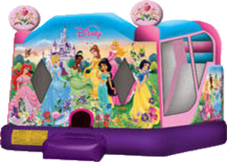 #48 Disney Princess 4in1 Slide inside