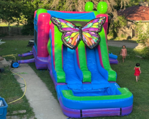 88 3D Butterfly Pool and Stopper LG Combo