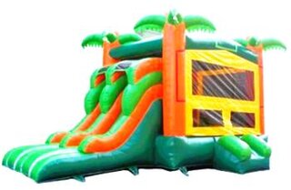 #301 Paradise Bounce House