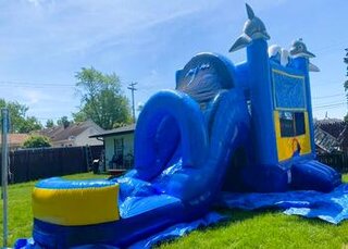 502 Dolphin Wet/Dry Bounce Slide