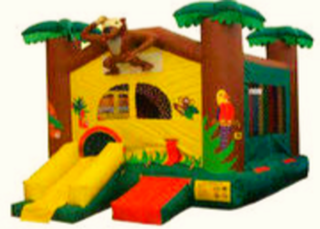 #17 Jungle Mini Slide Bounce House 15x15