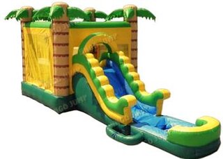 404 Palm Tree Bounce House 5in1